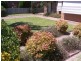 16 Clarke Street, Young NSW 2594