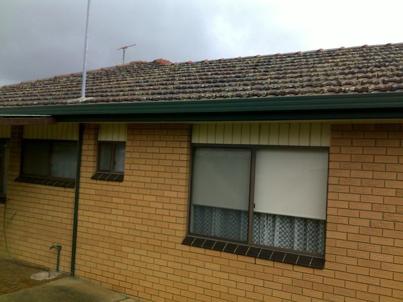 16 Clarke Street, Young NSW 2594