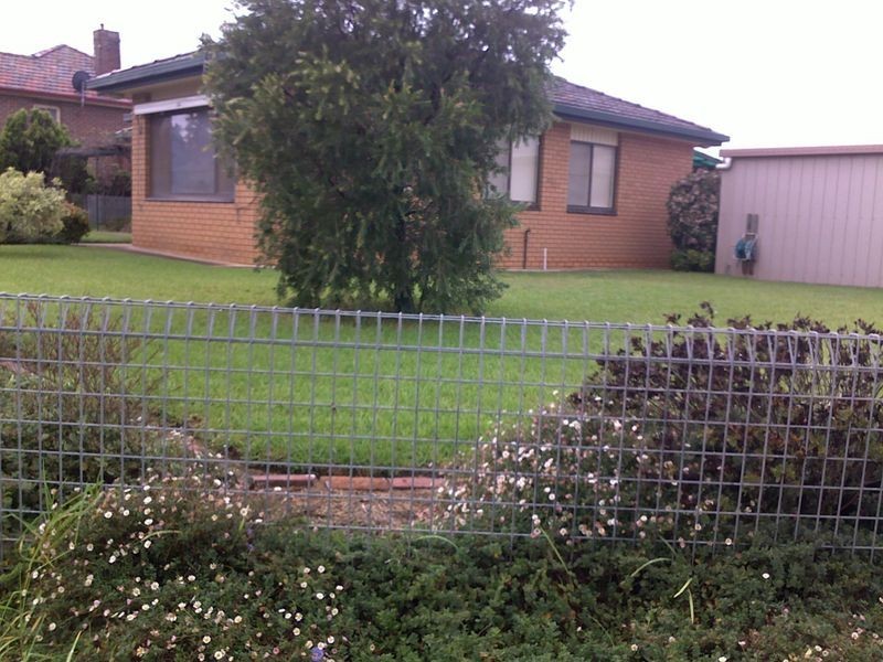 16 Clarke Street, Young NSW 2594