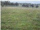 625 Tubbul Road, Young NSW 2594
