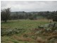 625 Tubbul Road, Young NSW 2594