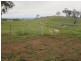 625 Tubbul Road, Young NSW 2594