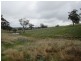 625 Tubbul Road, Young NSW 2594