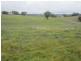 625 Tubbul Road, Young NSW 2594