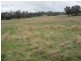 625 Tubbul Road, Young NSW 2594