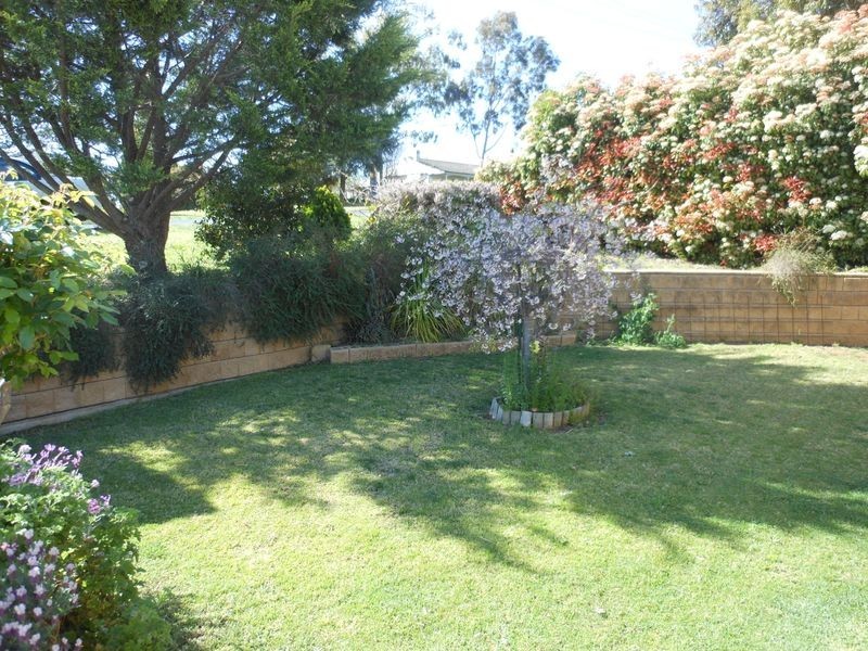 15 Back Creek Rd, Young NSW 2594