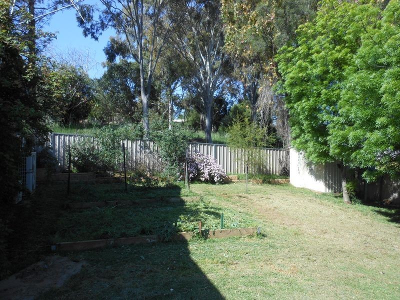 15 Back Creek Rd, Young NSW 2594