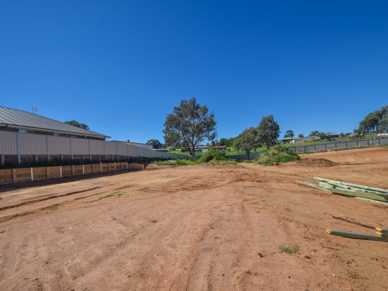 20 Guigni Place, Young NSW 2594