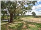26 Briggs Street, Young NSW 2594