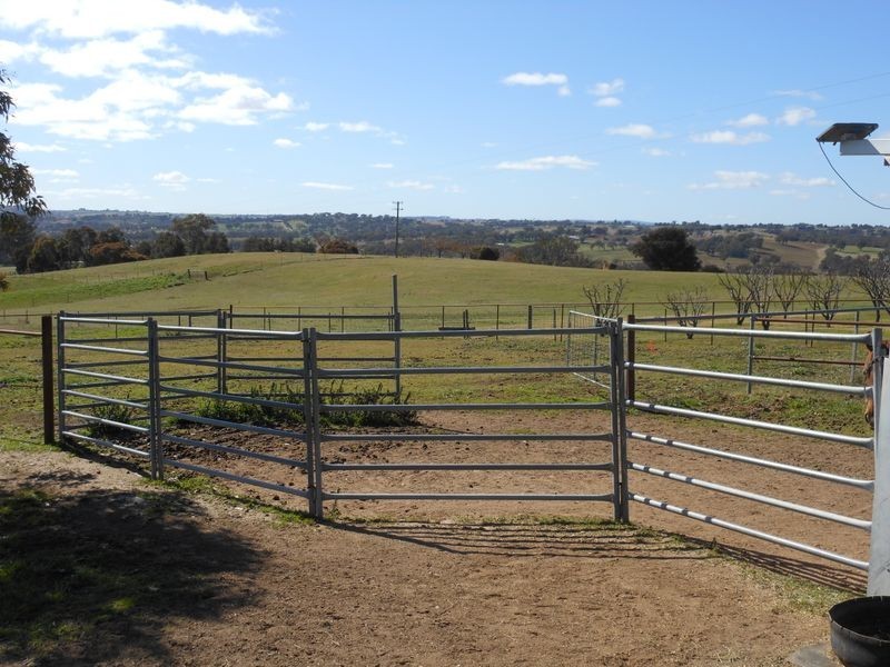 98 Belmore Rd, Young NSW 2594