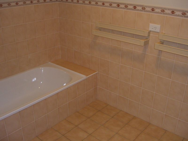 1/161 Nasmyth Street, Young NSW 2594