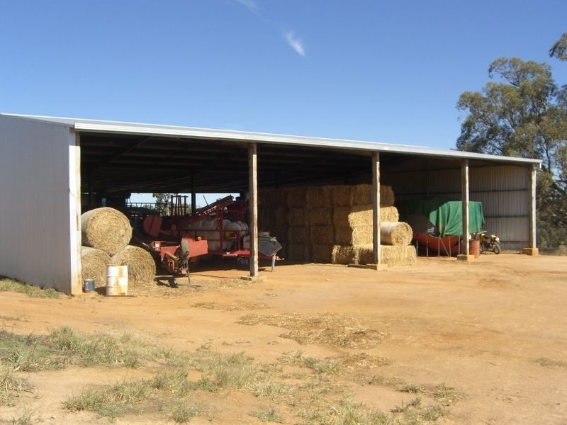 Bunyarra Grenfell Road, Young NSW 2594