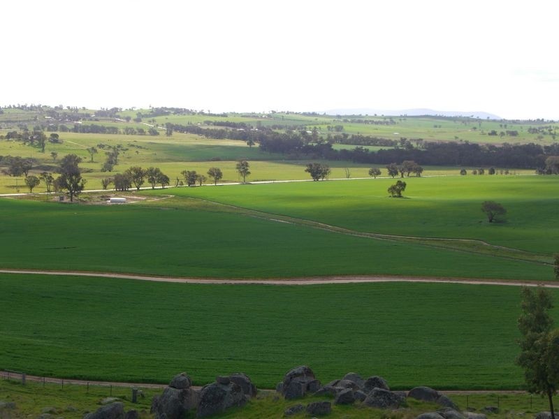 Bunyarra Grenfell Road, Young NSW 2594