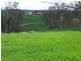 Bunyarra Grenfell Road, Young NSW 2594