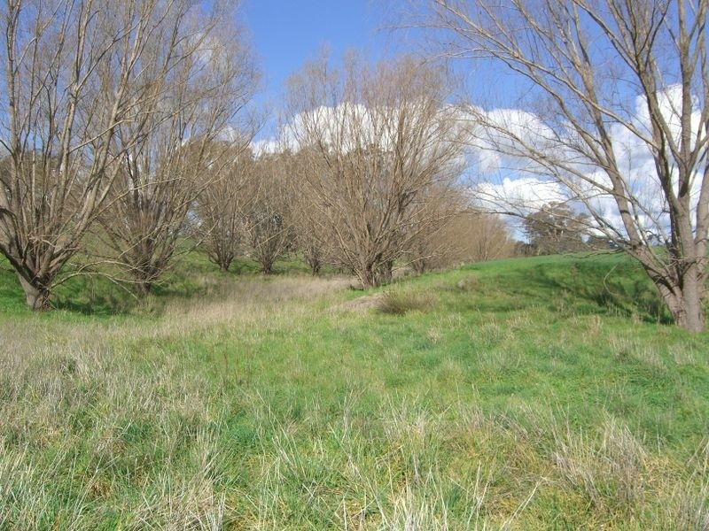 Bunyarra Grenfell Road, Young NSW 2594