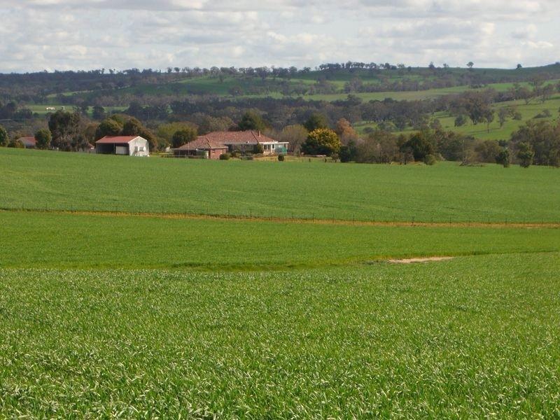 Bunyarra Grenfell Road, Young NSW 2594