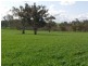 Bunyarra Grenfell Road, Young NSW 2594