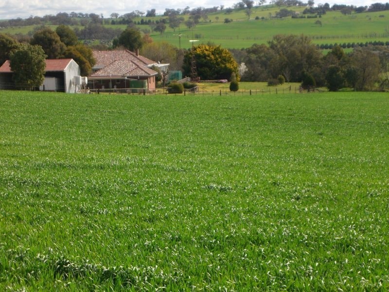 Bunyarra Grenfell Road, Young NSW 2594