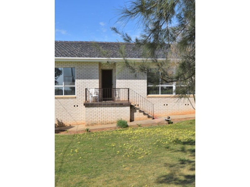 124 Wombat Street, Young NSW 2594