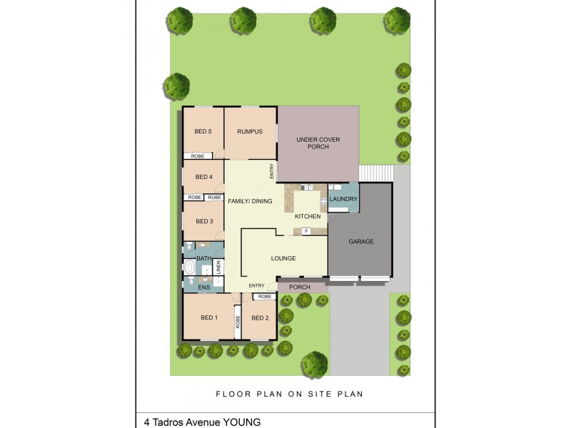 4 Tadros Avenue, Young NSW 2594