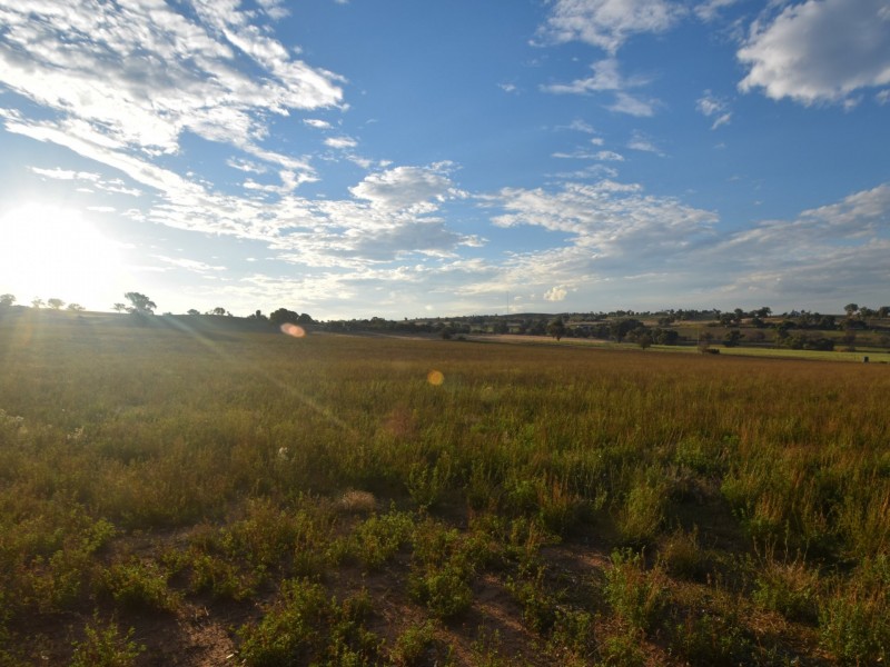 20 Araluen Road, Harden NSW 2587