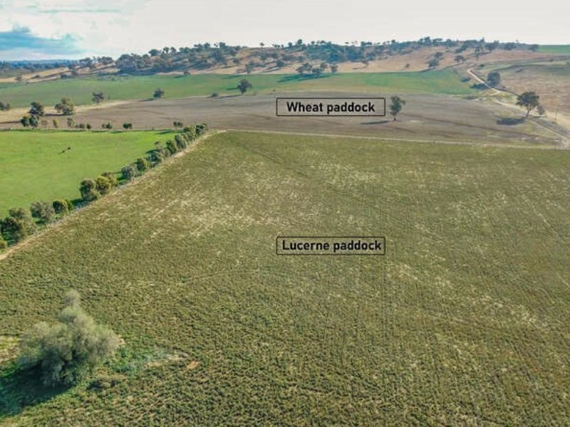 20 Araluen Road, Harden NSW 2587