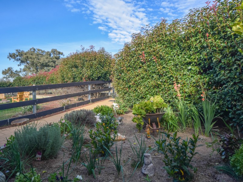 39 Wickham Lane, Young NSW 2594