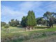 39 Wickham Lane, Young NSW 2594