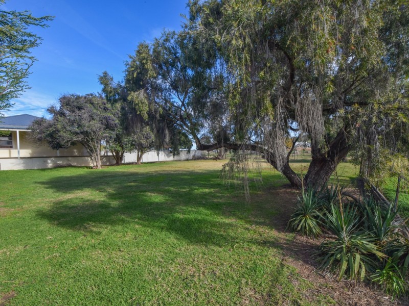 39 Wickham Lane, Young NSW 2594