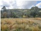 529 Karoopa Lane, Young NSW 2594