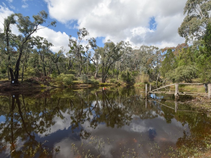 529 Karoopa Lane, Young NSW 2594