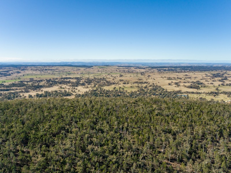 529 Karoopa Lane, Young NSW 2594