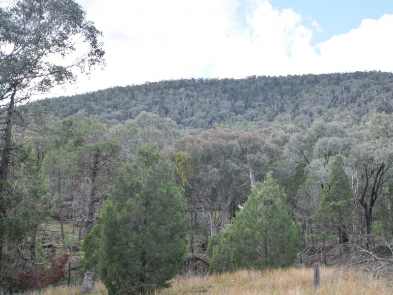 529 Karoopa Lane, Young NSW 2594