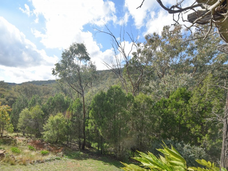 529 Karoopa Lane, Young NSW 2594