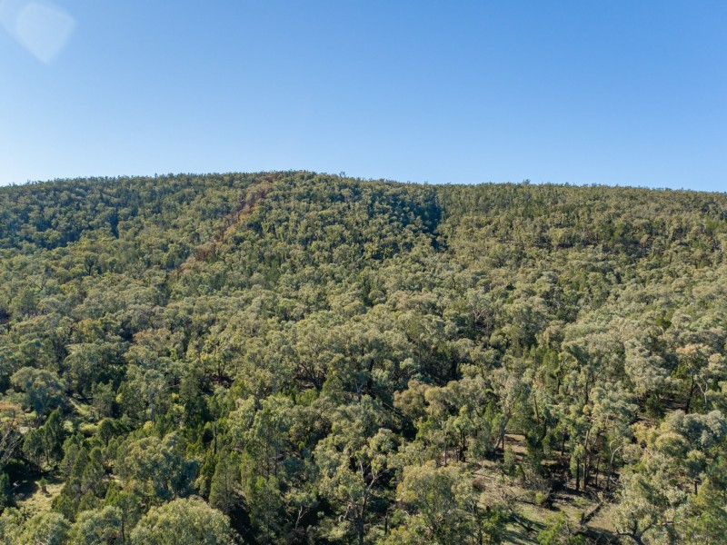 529 Karoopa Lane, Young NSW 2594