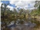 529 Karoopa Lane, Young NSW 2594