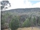 529 Karoopa Lane, Young NSW 2594