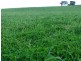 301 Robinsons Rd, Young NSW 2594