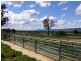 301 Robinsons Rd, Young NSW 2594