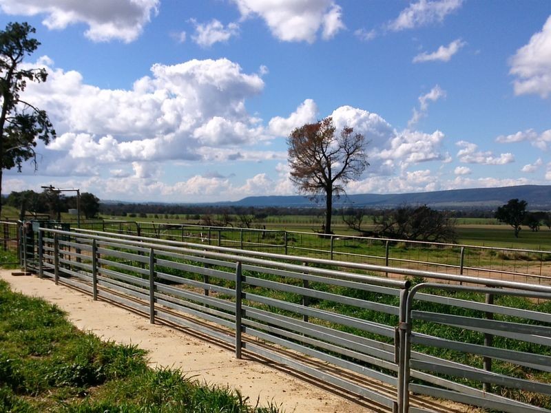 301 Robinsons Rd, Young NSW 2594