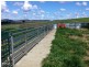301 Robinsons Rd, Young NSW 2594