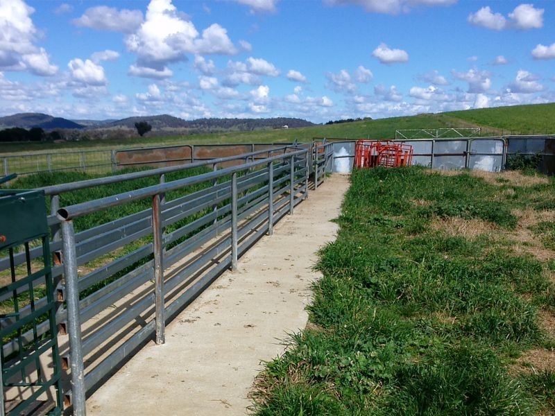 301 Robinsons Rd, Young NSW 2594