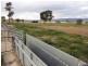 301 Robinsons Rd, Young NSW 2594