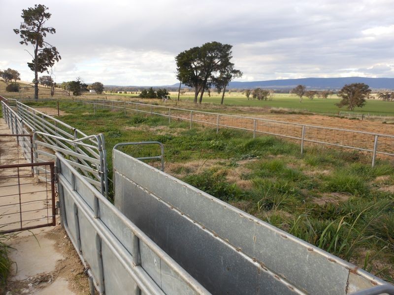 301 Robinsons Rd, Young NSW 2594