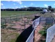 301 Robinsons Rd, Young NSW 2594
