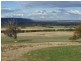 301 Robinsons Rd, Young NSW 2594