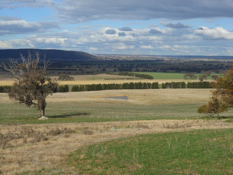 301 Robinsons Rd, Young NSW 2594