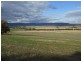 301 Robinsons Rd, Young NSW 2594