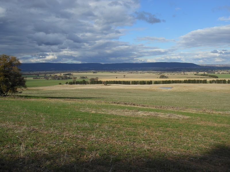 301 Robinsons Rd, Young NSW 2594