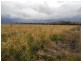 301 Robinsons Rd, Young NSW 2594